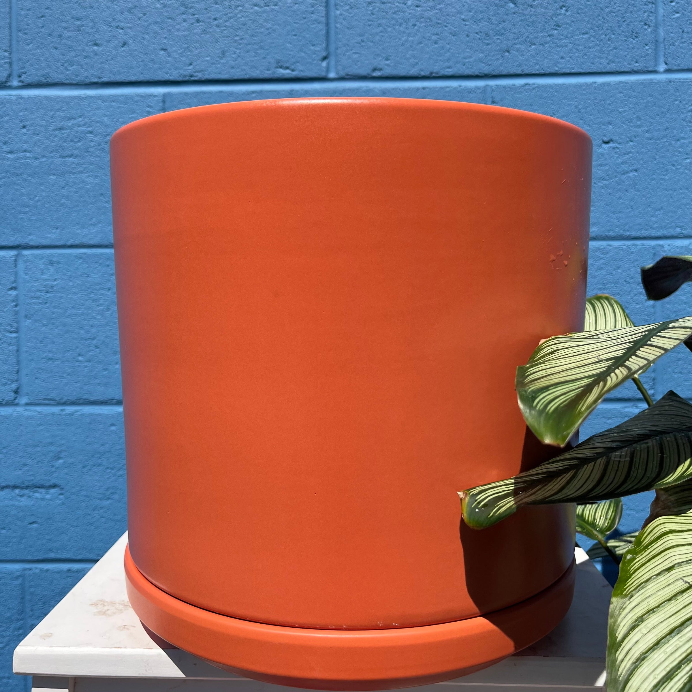 Solid Goods Cylinder Pots | Plant & Curio