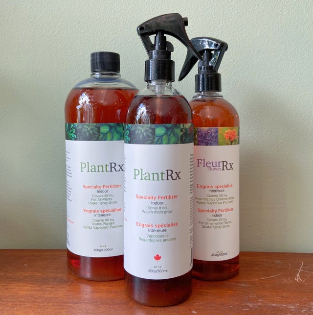 Indoor Gardening Supplies | Plant & Curio
