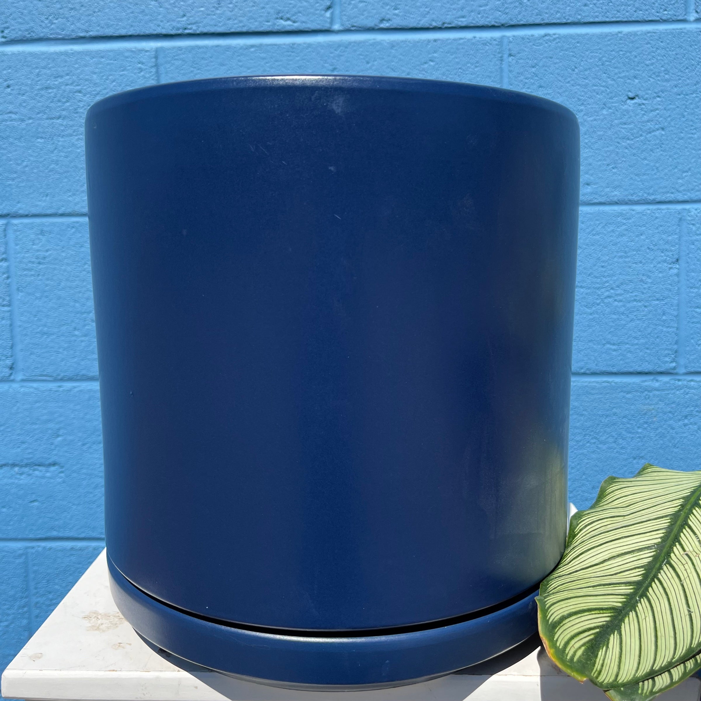 Solid Goods Cylinder Pots | Plant & Curio
