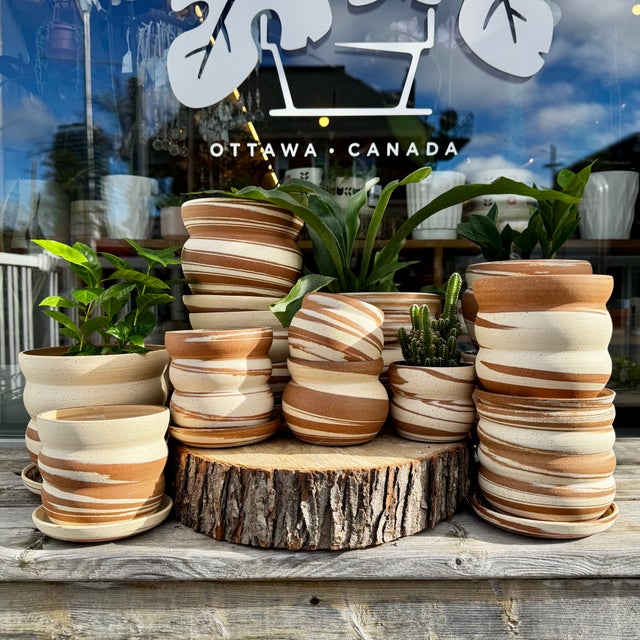 Handmade Ceramics & Decor | Plant & Curio