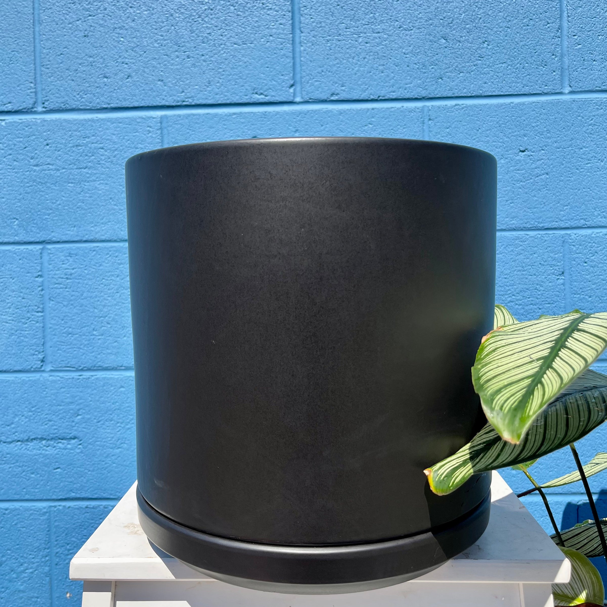 Solid Goods Cylinder Pots | Plant & Curio