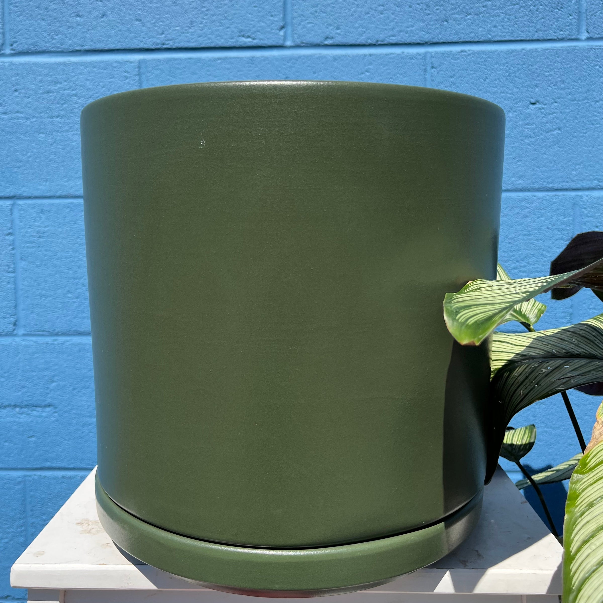 Solid Goods Cylinder Pots | Plant & Curio