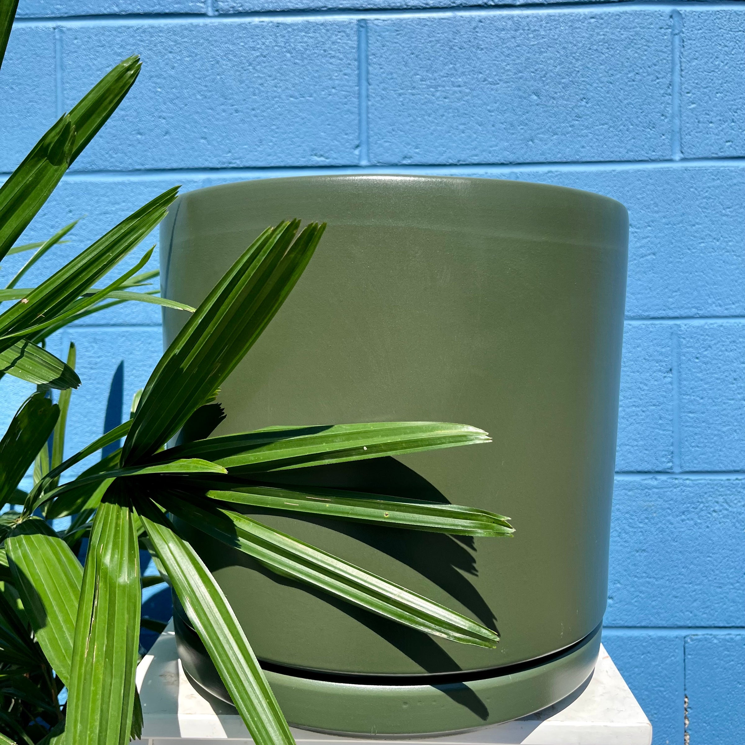 Solid Goods Cylinder Pots | Plant & Curio
