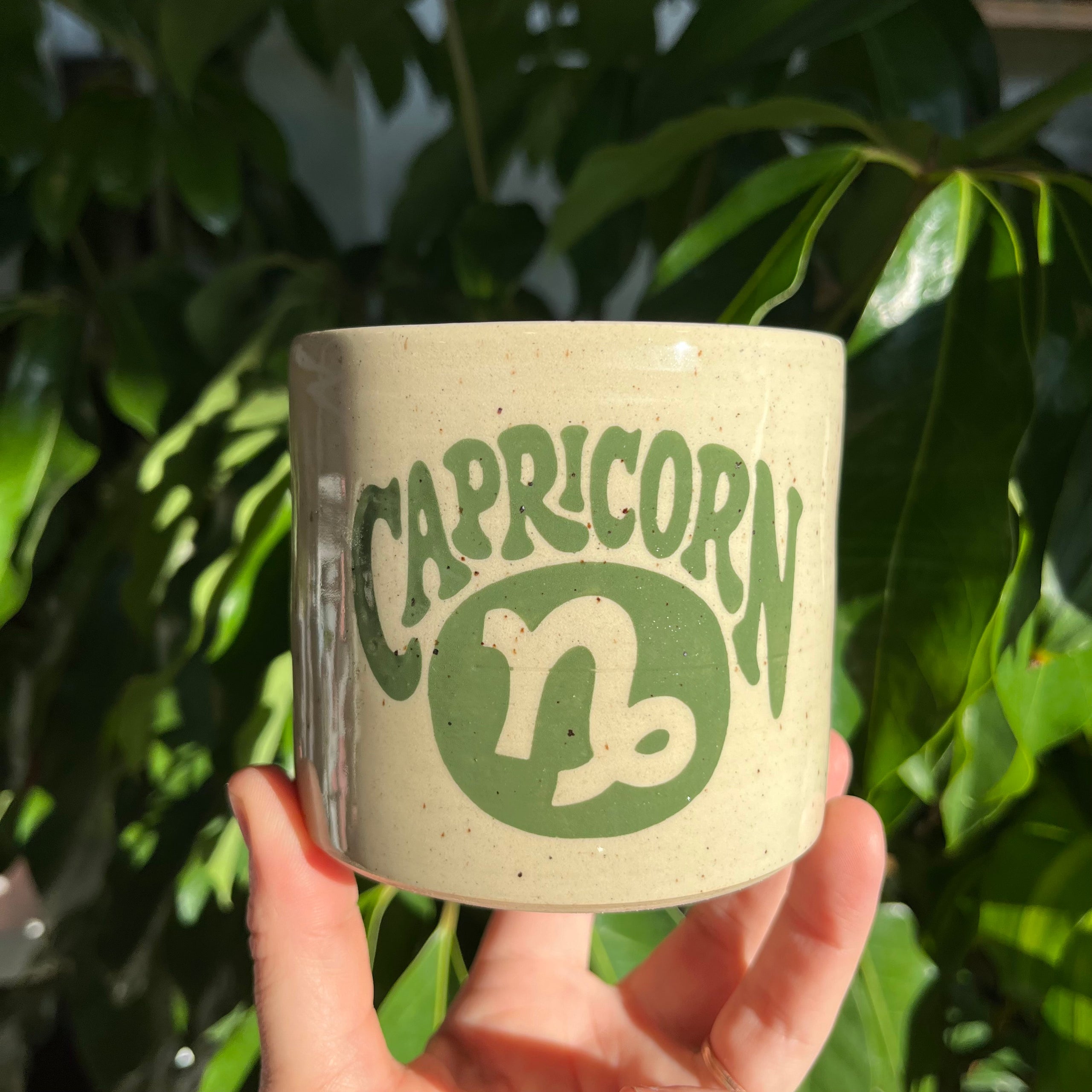 Capricorn Pots Plant & Curio Plant & Curio